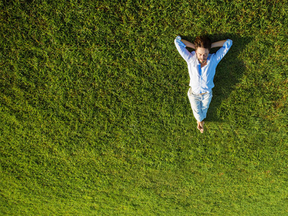 Entretien des espaces verts